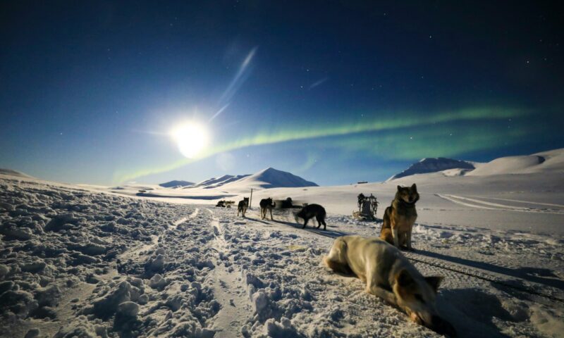 Where to see the northern lights in Norway