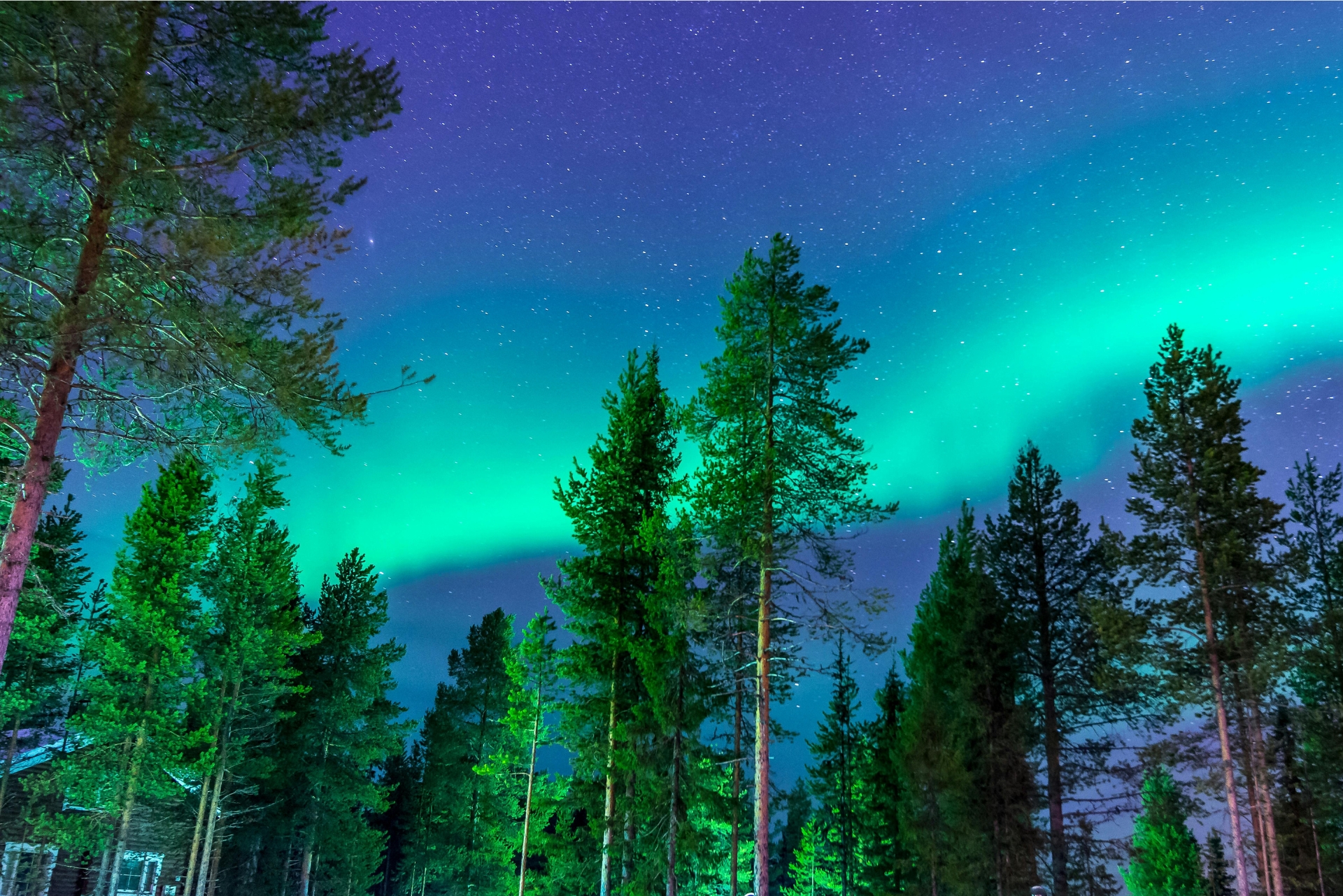 Germany or Finland for Northern Lights