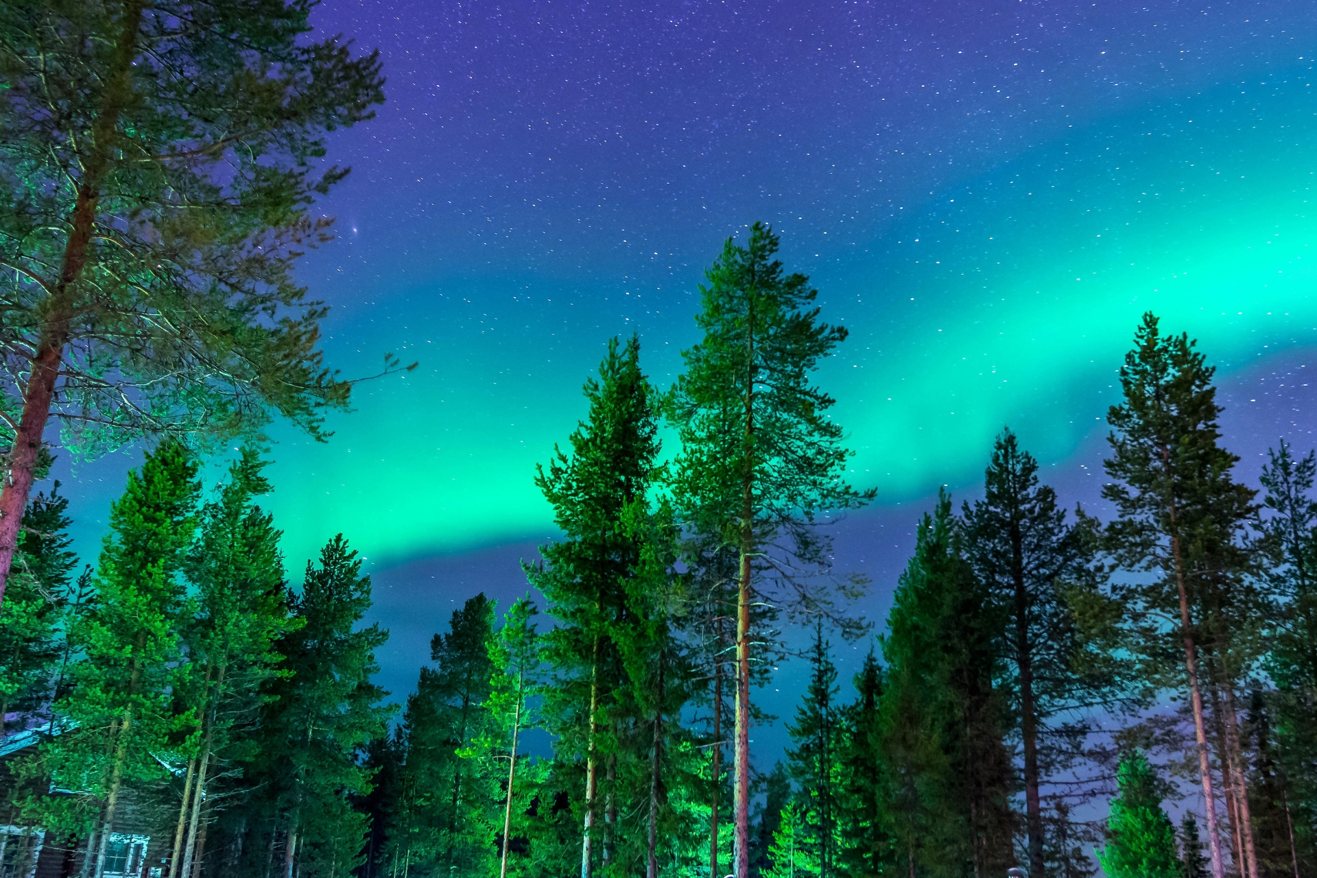 Denmark or Finland for Northern Lights